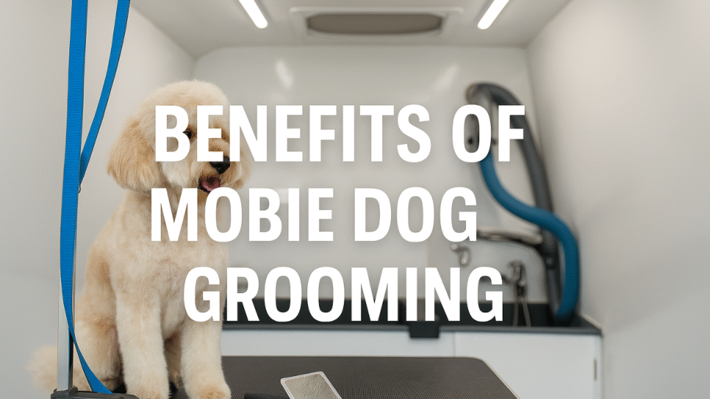 Mobile Grooming for Dogs