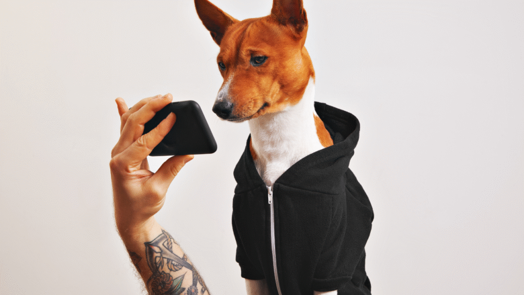 Mobile Grooming for Dogs